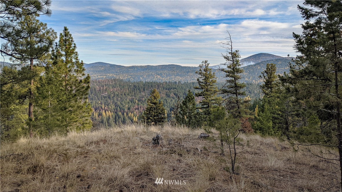77 Fs 3230 Road Tonasket, WA 98855 - Photo 15 of 40 Gallery Image 15