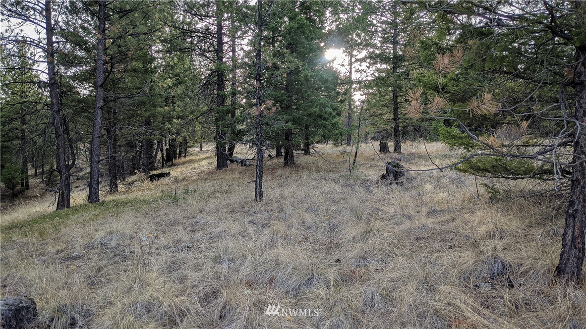 77 Fs 3230 Road Tonasket, WA 98855 - Photo 16 of 40 Gallery Image 16