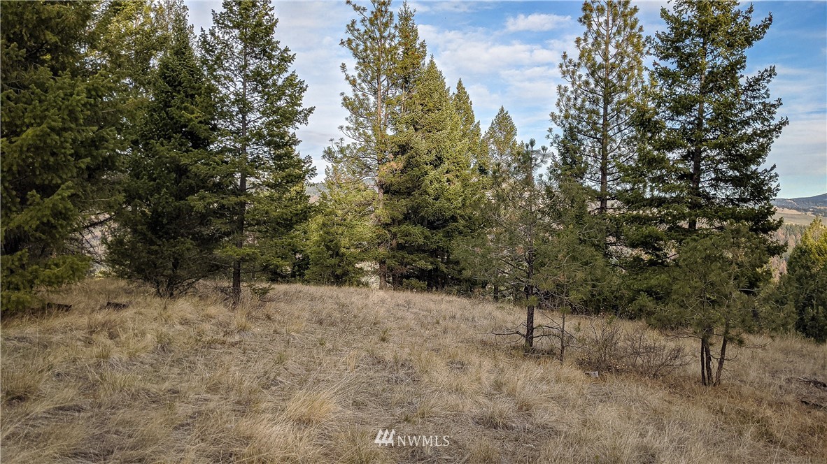 77 Fs 3230 Road Tonasket, WA 98855 - Photo 17 of 40 Gallery Image 17