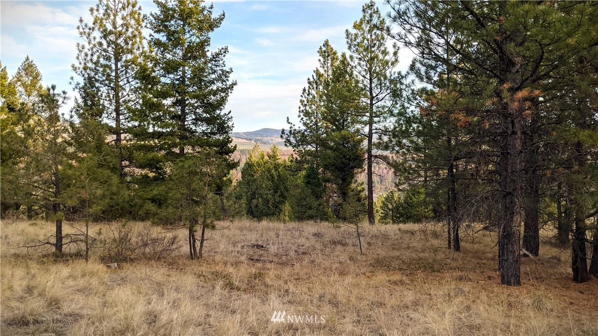 77 Fs 3230 Road Tonasket, WA 98855 - Photo 18 of 40 Gallery Image 18