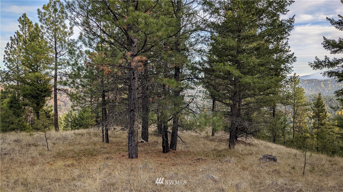 77 Fs 3230 Road Tonasket, WA 98855 - Photo 19 of 40 Gallery Image 19