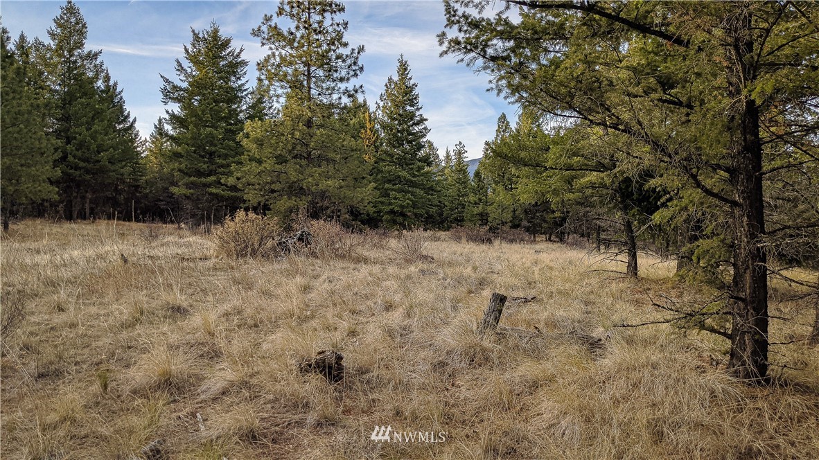 77 Fs 3230 Road Tonasket, WA 98855 - Photo 20 of 40 Gallery Image 20
