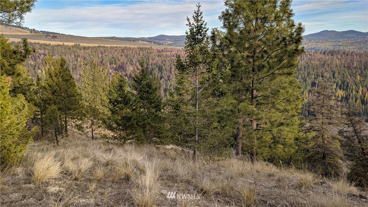 77 Fs 3230 Road Tonasket, WA 98855 - Photo 2 of 40 Gallery Image 2
