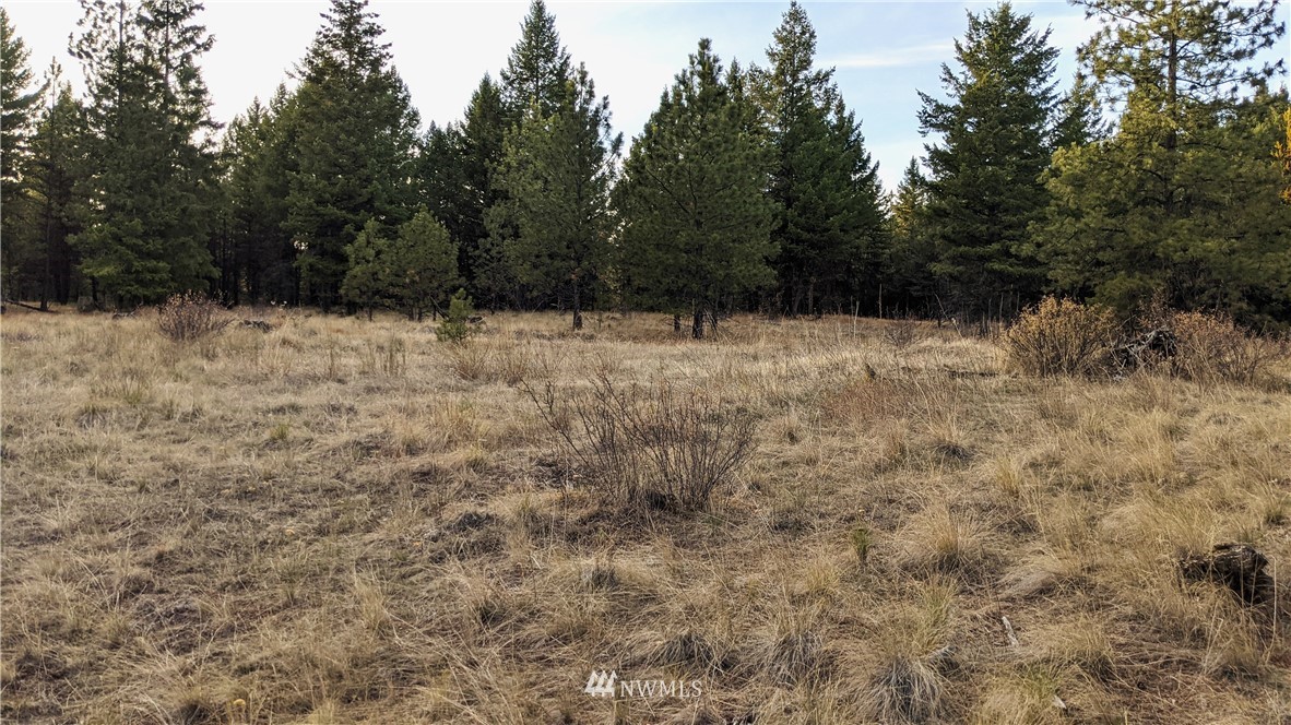 77 Fs 3230 Road Tonasket, WA 98855 - Photo 21 of 40 Gallery Image 21