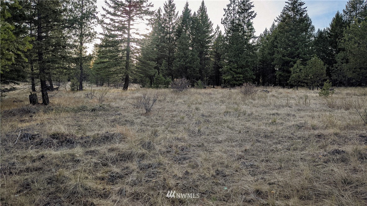 77 Fs 3230 Road Tonasket, WA 98855 - Photo 22 of 40 Gallery Image 22