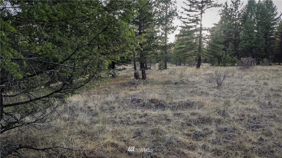 77 Fs 3230 Road Tonasket, WA 98855 - Photo 23 of 40 Gallery Image 23