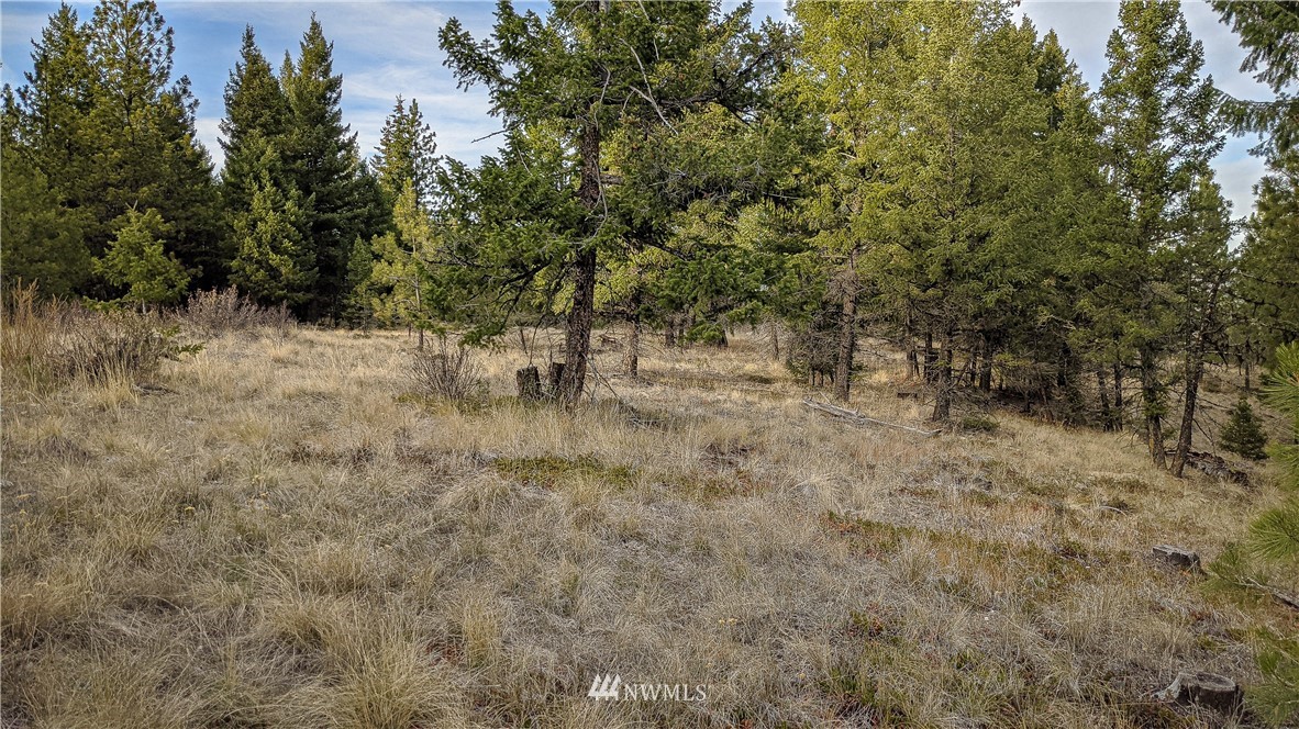 77 Fs 3230 Road Tonasket, WA 98855 - Photo 24 of 40 Gallery Image 24