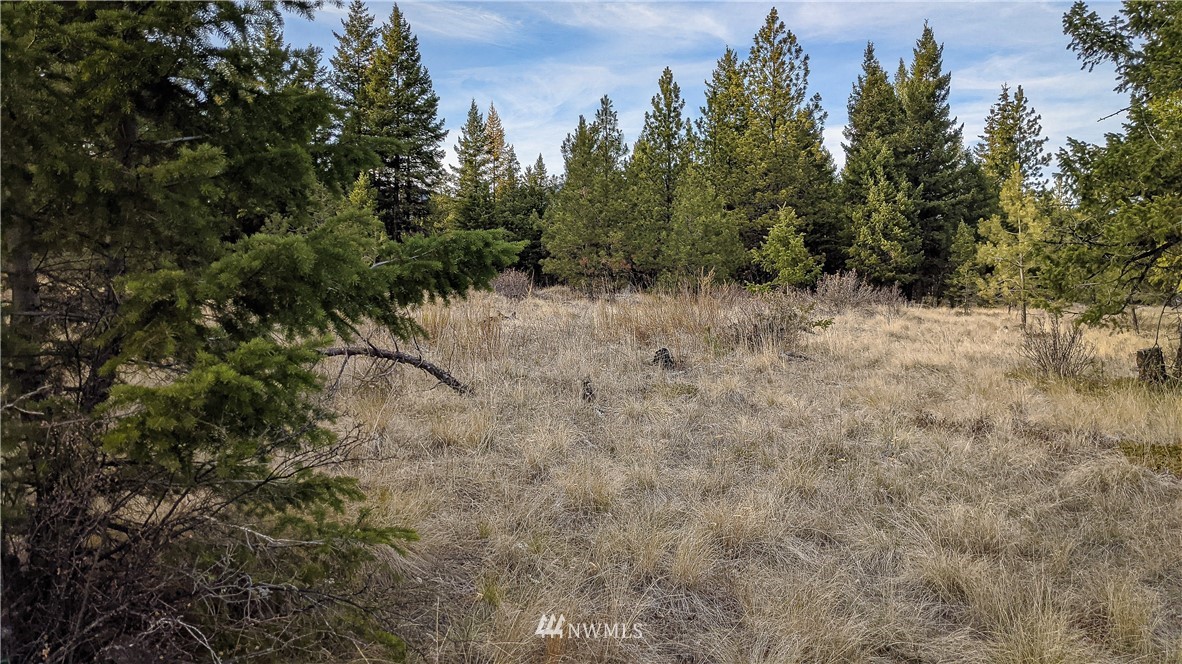 77 Fs 3230 Road Tonasket, WA 98855 - Photo 25 of 40 Gallery Image 25