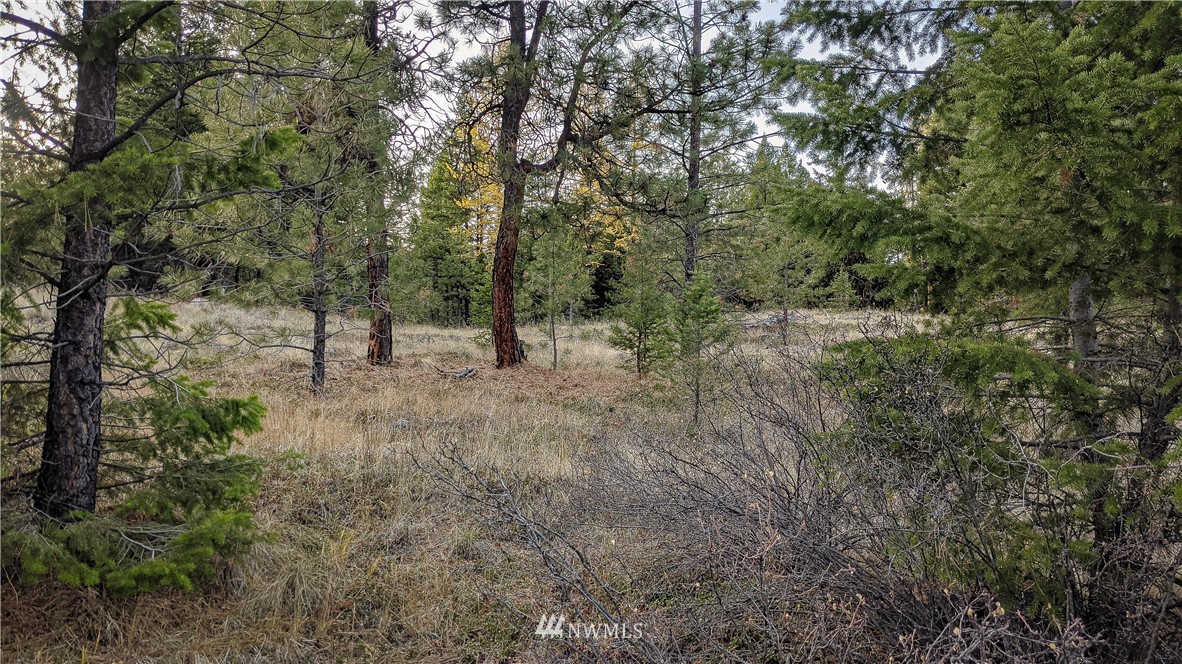 77 Fs 3230 Road Tonasket, WA 98855 - Photo 26 of 40 Gallery Image 26