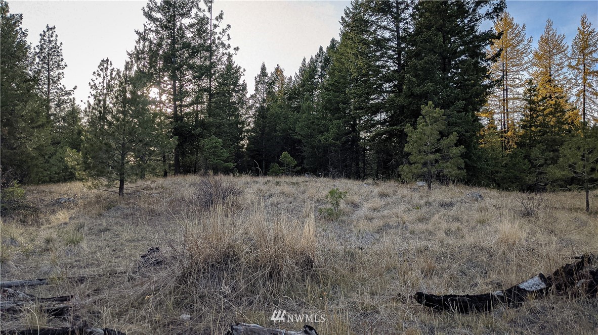 77 Fs 3230 Road Tonasket, WA 98855 - Photo 27 of 40 Gallery Image 27