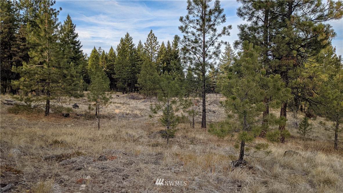 77 Fs 3230 Road Tonasket, WA 98855 - Photo 28 of 40 Gallery Image 28