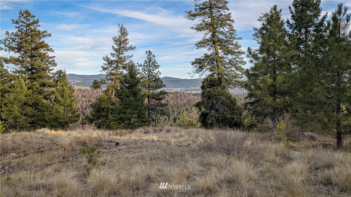 77 Fs 3230 Road Tonasket, WA 98855 - Photo 29 of 40 Gallery Image 29