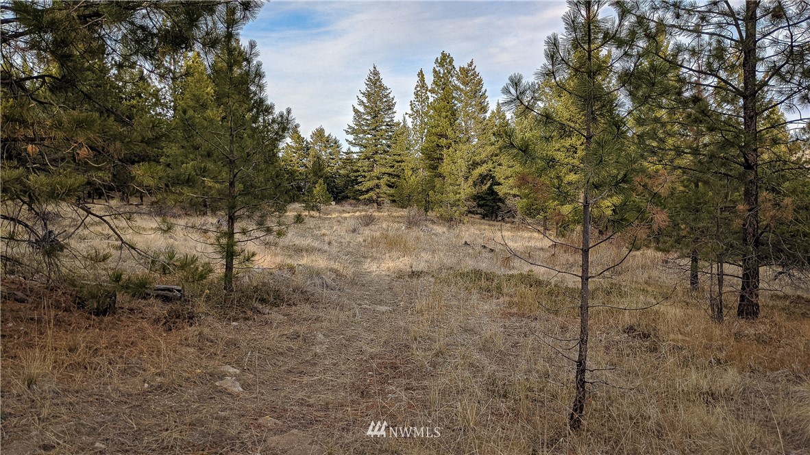 77 Fs 3230 Road Tonasket, WA 98855 - Photo 30 of 40 Gallery Image 30