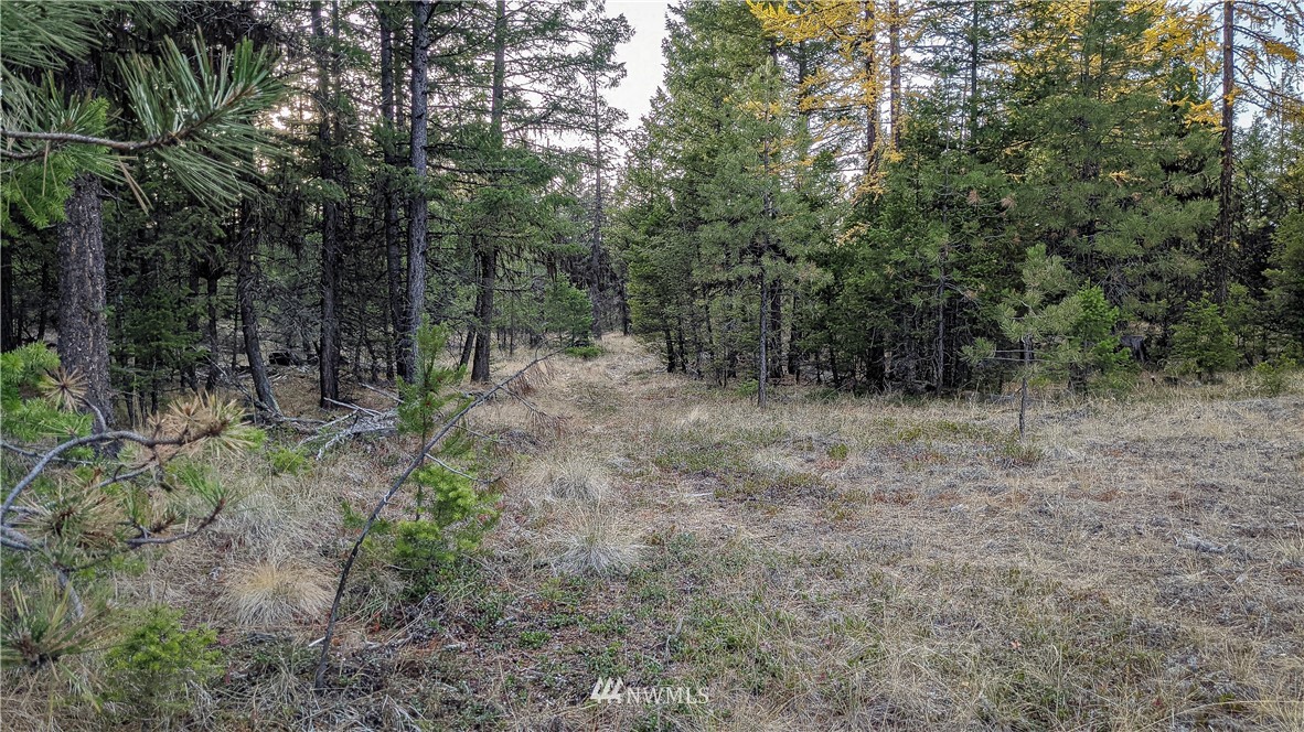 77 Fs 3230 Road Tonasket, WA 98855 - Photo 31 of 40 Gallery Image 31
