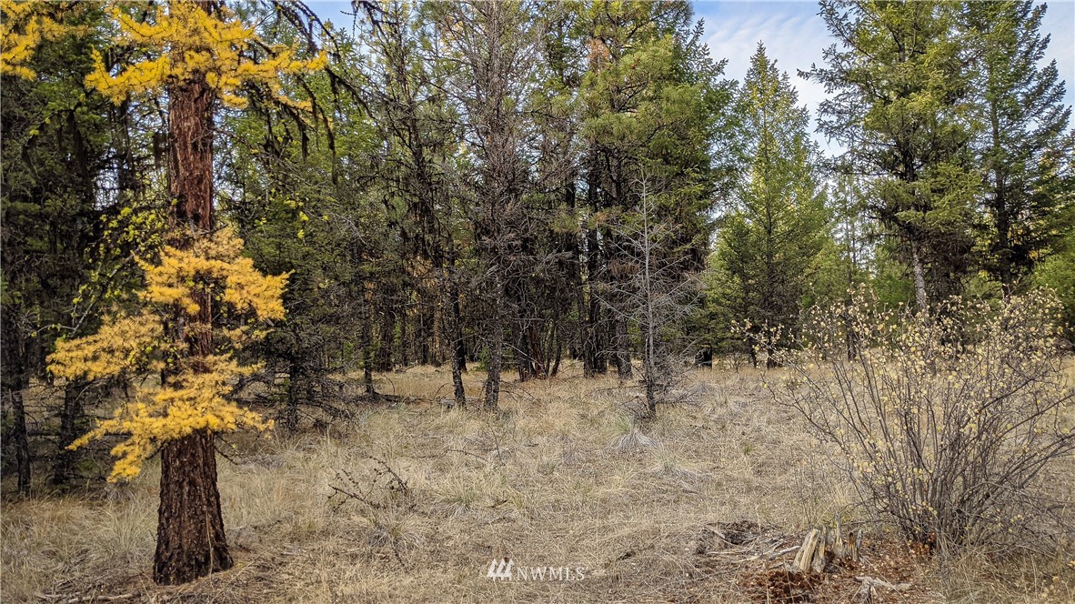 77 Fs 3230 Road Tonasket, WA 98855 - Photo 32 of 40 Gallery Image 32