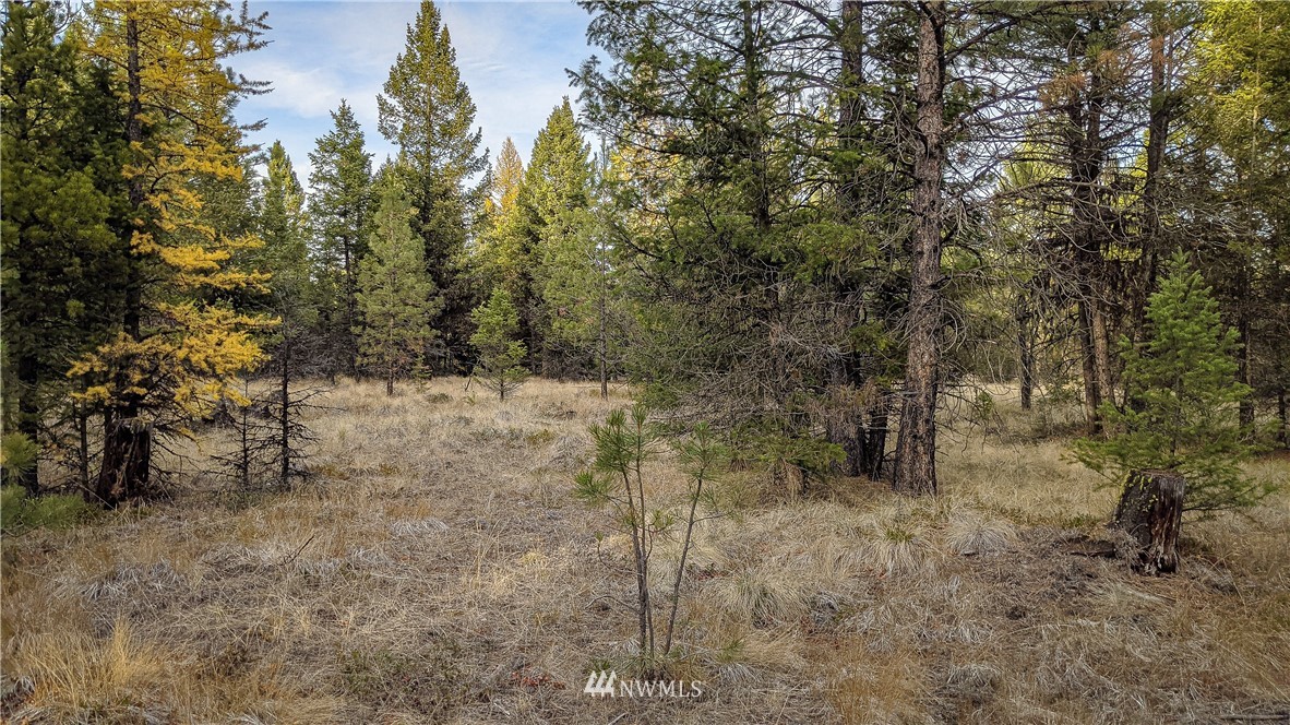 77 Fs 3230 Road Tonasket, WA 98855 - Photo 33 of 40 Gallery Image 33