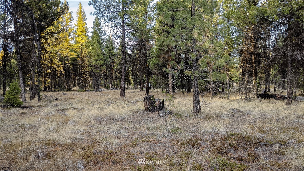 77 Fs 3230 Road Tonasket, WA 98855 - Photo 34 of 40 Gallery Image 34