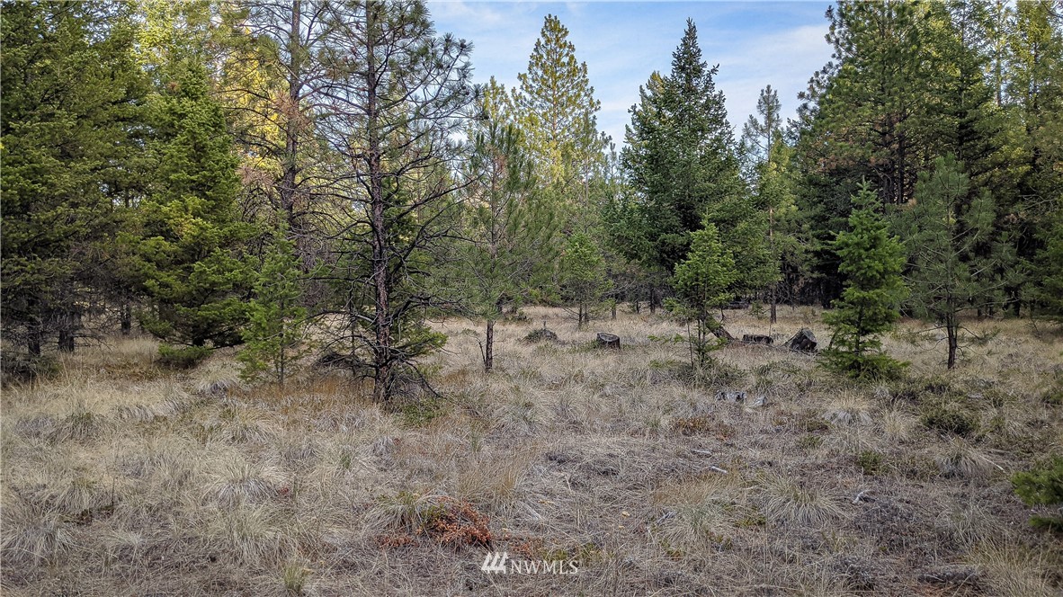 77 Fs 3230 Road Tonasket, WA 98855 - Photo 35 of 40 Gallery Image 35