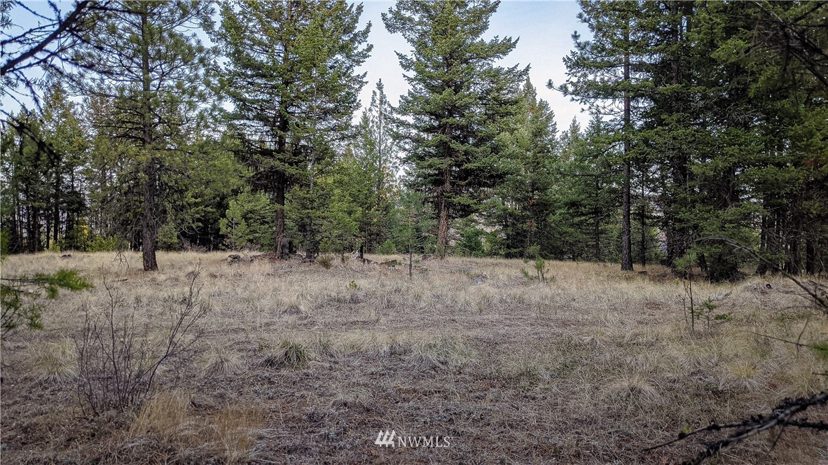 77 Fs 3230 Road Tonasket, WA 98855 - Photo 36 of 40 Gallery Image 36