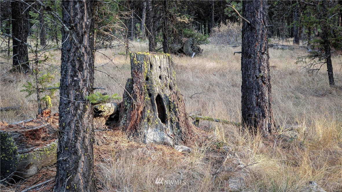 77 Fs 3230 Road Tonasket, WA 98855 - Photo 38 of 40 Gallery Image 38