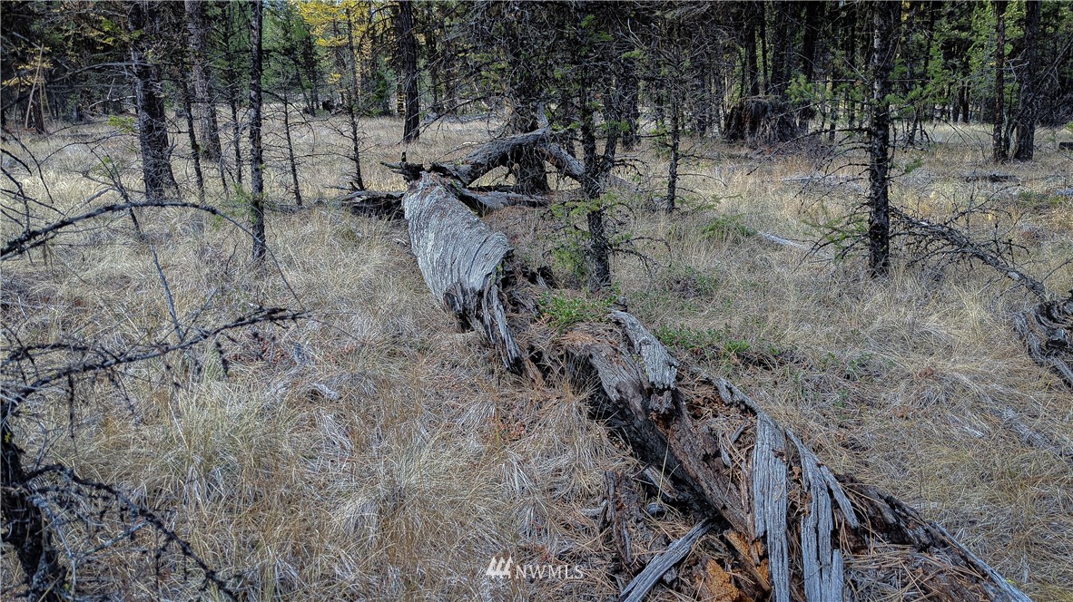 77 Fs 3230 Road Tonasket, WA 98855 - Photo 39 of 40 Gallery Image 39