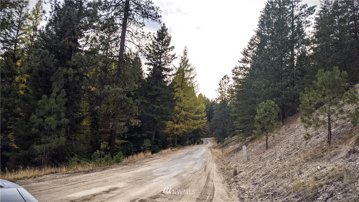 77 Fs 3230 Road Tonasket, WA 98855 - Photo 4 of 40 Gallery Image 4