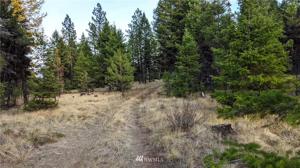 77 Fs 3230 Road Tonasket, WA 98855 - Photo 6 of 40 Gallery Image 6