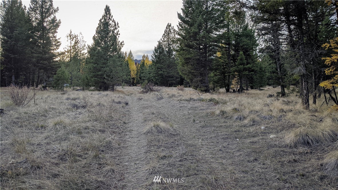 77 Fs 3230 Road Tonasket, WA 98855 - Photo 7 of 40 Gallery Image 7