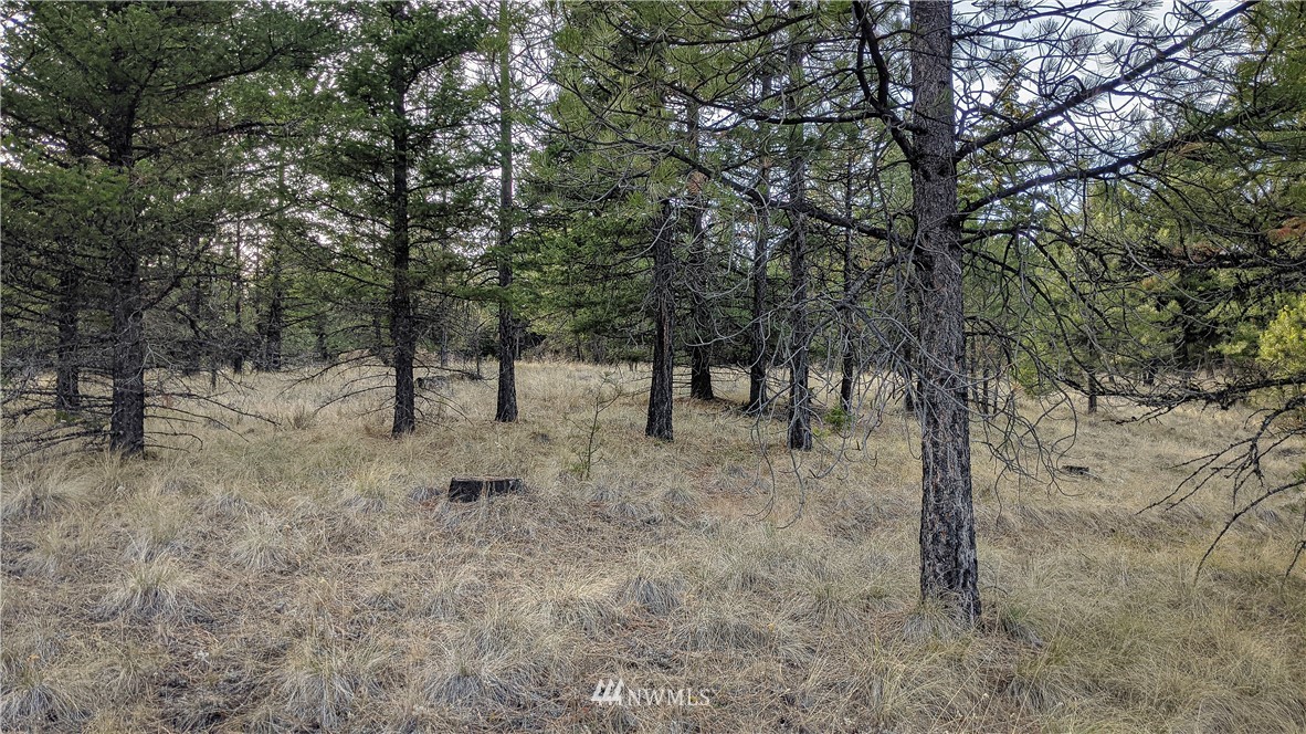 77 Fs 3230 Road Tonasket, WA 98855 - Photo 8 of 40 Gallery Image 8