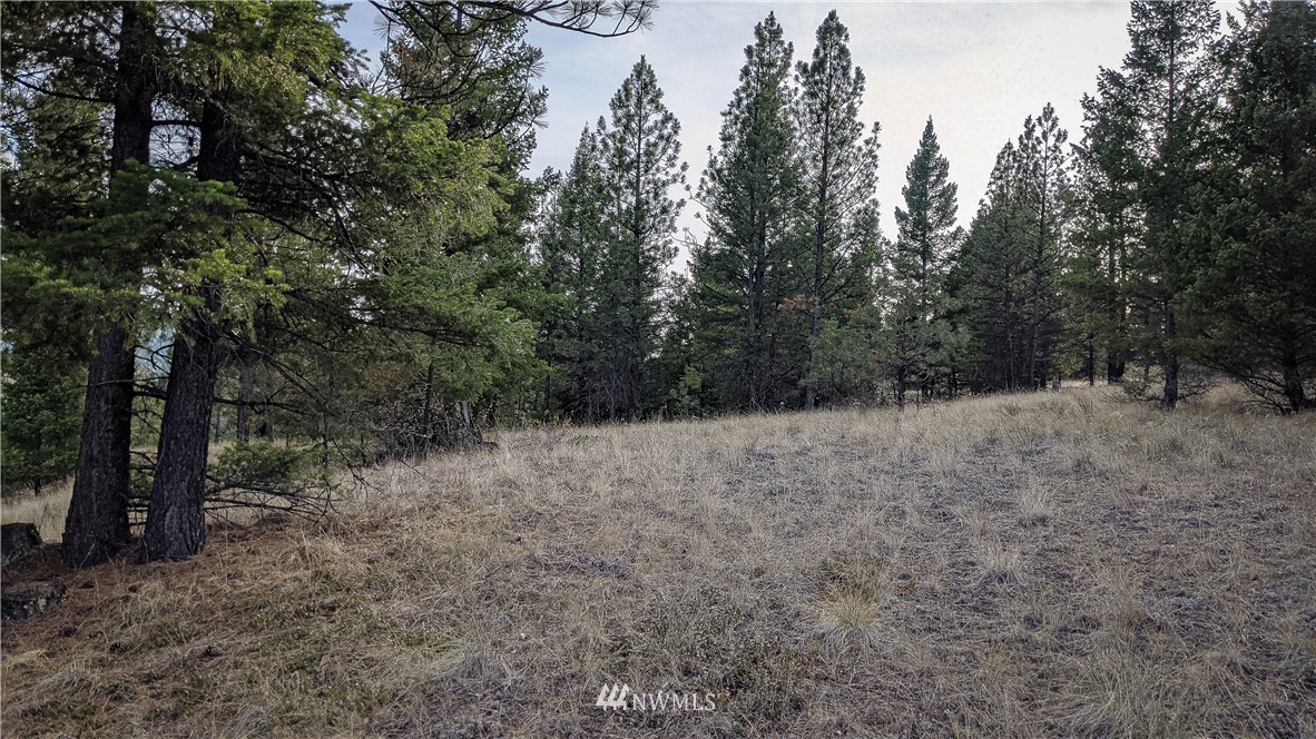 77 Fs 3230 Road Tonasket, WA 98855 - Photo 9 of 40 Gallery Image 9