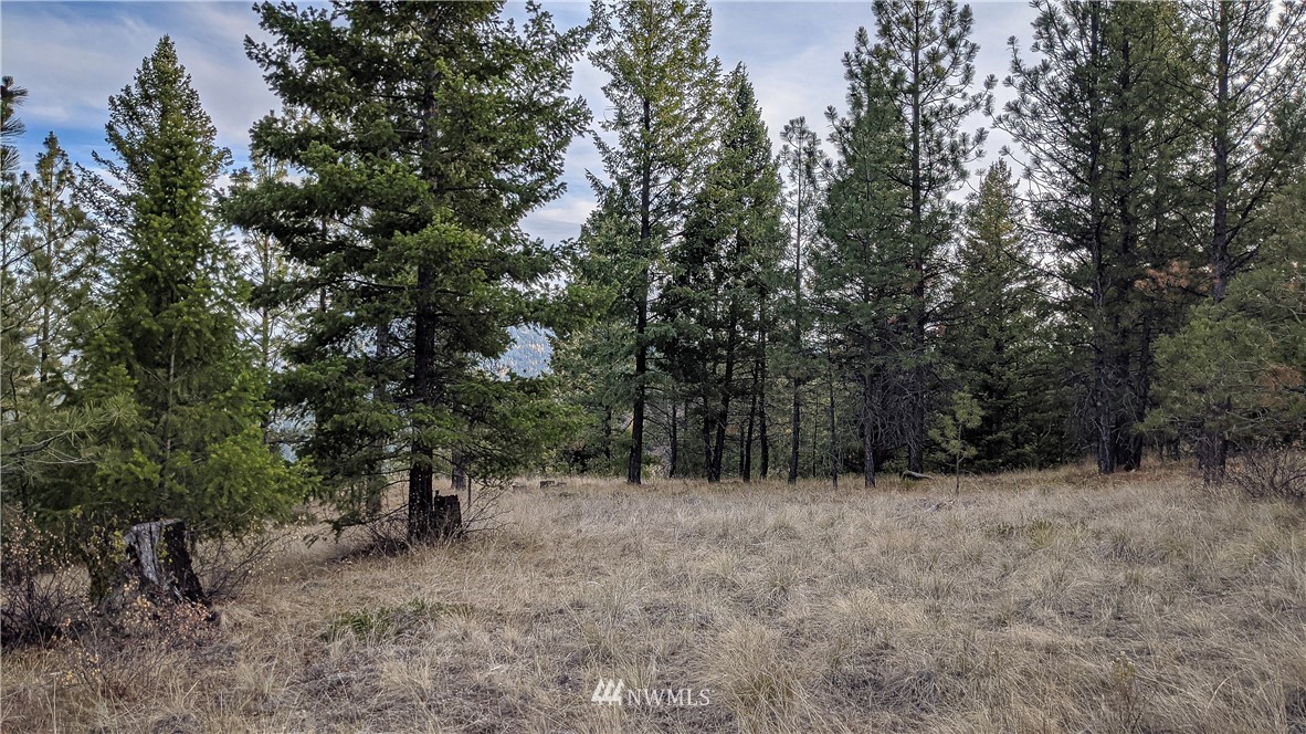 77 Fs 3230 Road Tonasket, WA 98855 - Photo 10 of 40 Gallery Image 10