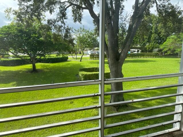a view of a park with large trees