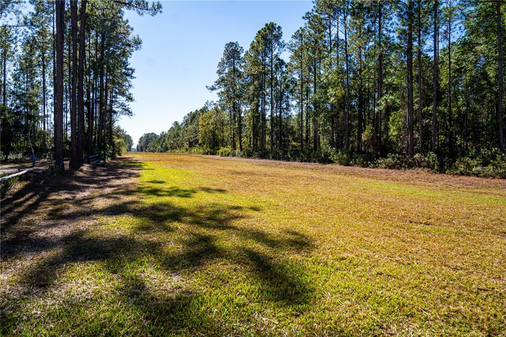 132 Nutmeg Trail Interlachen, FL 32148 - Photo 84 of 100