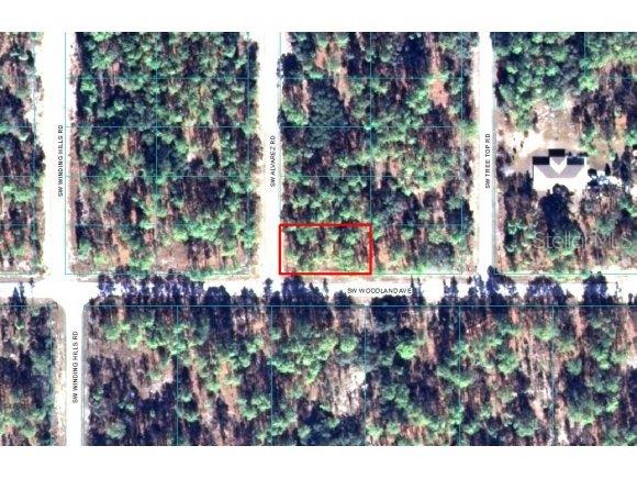 Lot 32 Southwest Lot Road Dunnellon, FL 34431 - Photo 1 of 1 Primary Photo