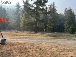 37635 Row River Road Dorena, OR 97434 - Photo 3 of 8 a view of a yard