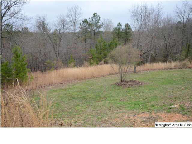 643 Deerfield Road Pell City, AL 35125 - Photo 25 of 31