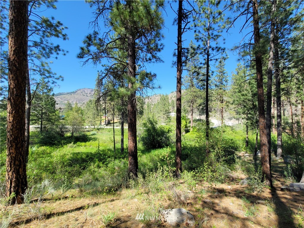 364 Swanson Mill Road Oroville, WA 98844 - Photo 25 of 30 Gallery Image 25