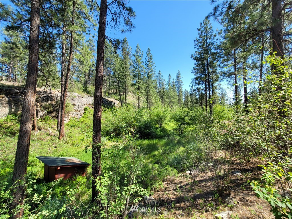 364 Swanson Mill Road Oroville, WA 98844 - Photo 26 of 30 Gallery Image 26