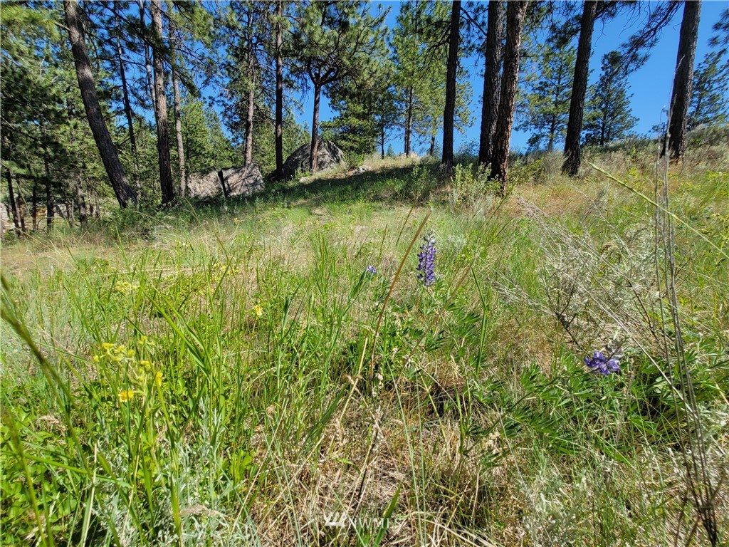 364 Swanson Mill Road Oroville, WA 98844 - Photo 27 of 30 Gallery Image 27