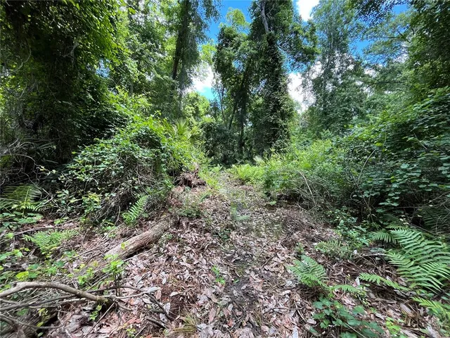 a big yard with lots of green space and trees