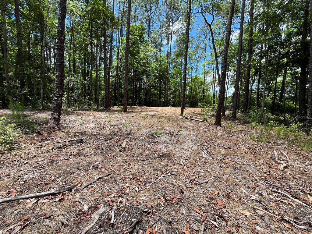 4050 Als Satch Road Middleburg, FL 32068 - Photo 16 of 22