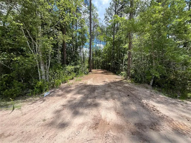 a view of outdoor space with trees
