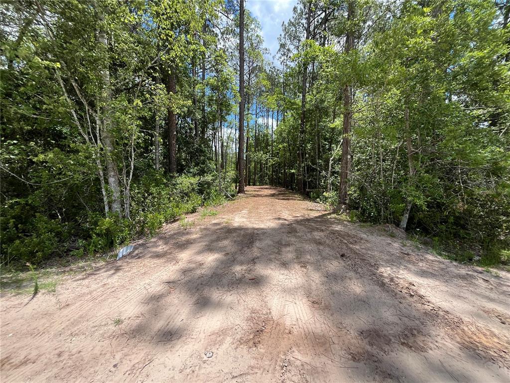 4050 Als Satch Road Middleburg, FL 32068 - Photo 2 of 22 a view of outdoor space and trees all around