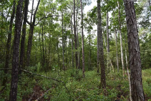 $115,000 | 4050 Als Satch Road, Middleburg, FL 32068