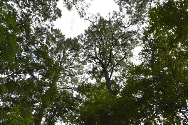 a view of a road with a yard