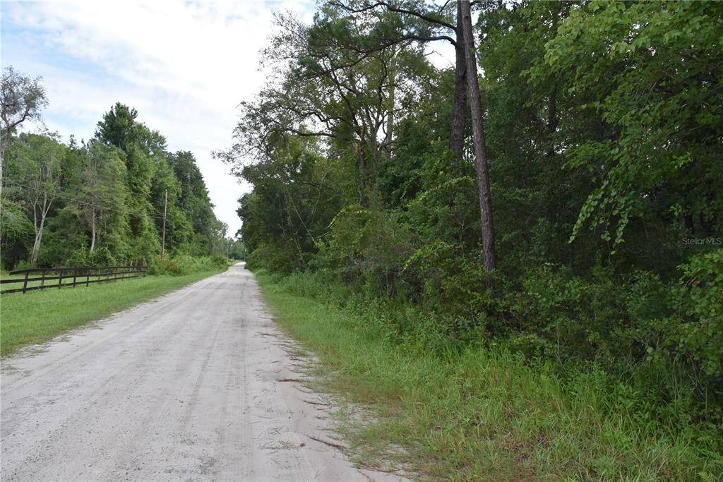 4050 Als Satch Road Middleburg, FL 32068 - Photo 7 of 22 a view of a street with a trees