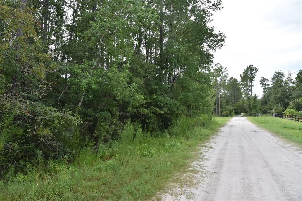 4050 Als Satch Road Middleburg, FL 32068 - Photo 8 of 22 a view of a road with a yard