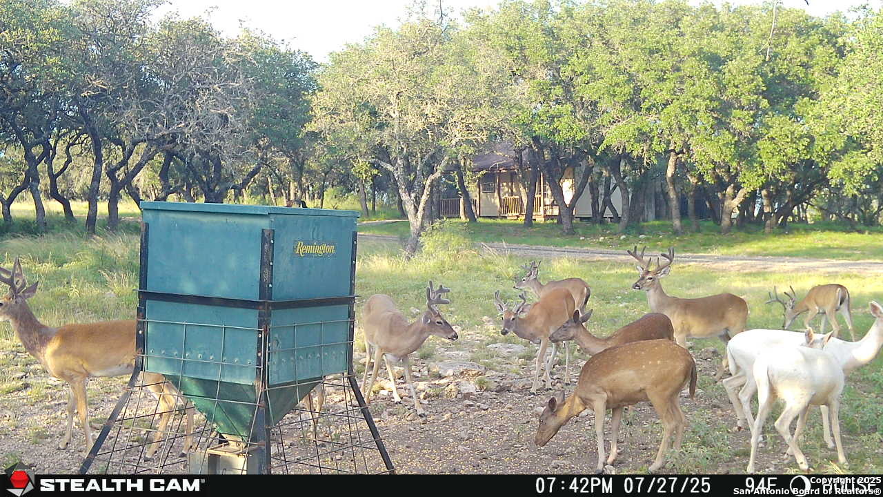 1305 Camino Real Road Junction, TX 76849 - Photo 5 of 34