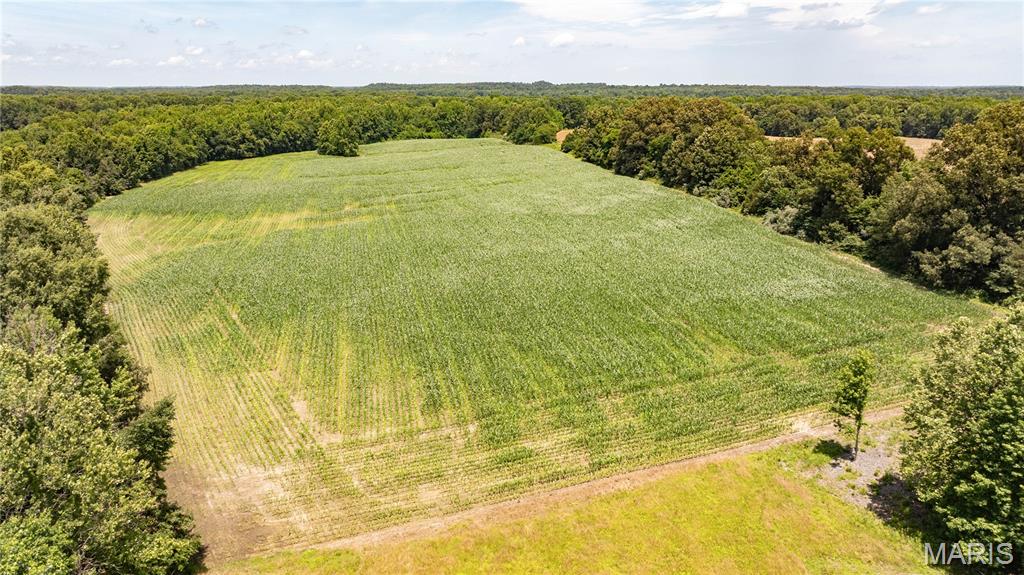 9480 Battleford Road Stonefort, IL 62987 - Photo 15 of 54
