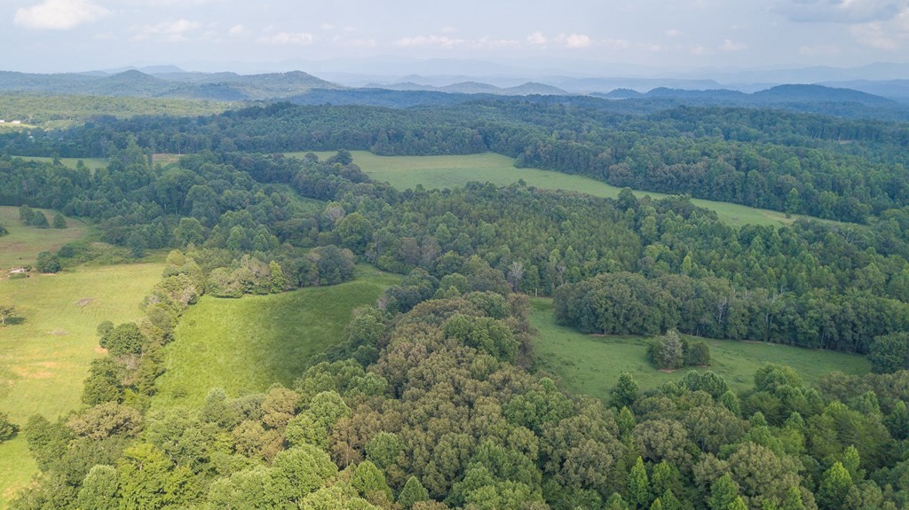 0 Hickory Grove Road Madisonville, TN 37354 - Photo 16 of 32 Gallery Image 16